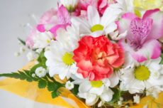 菊やカーネーションなどの花々。