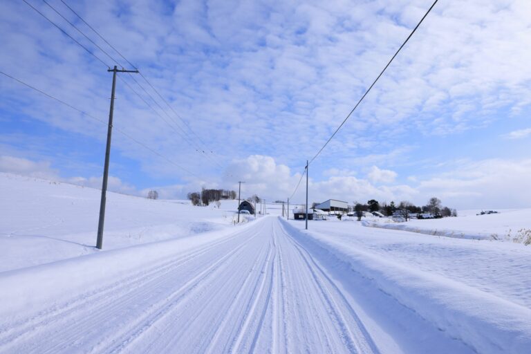 北海道の雪が積もっている車道。