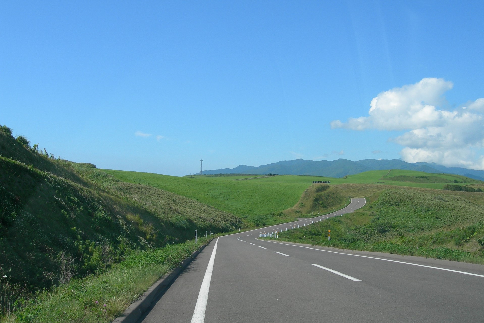 晴れた夏の日の北海道の道路。