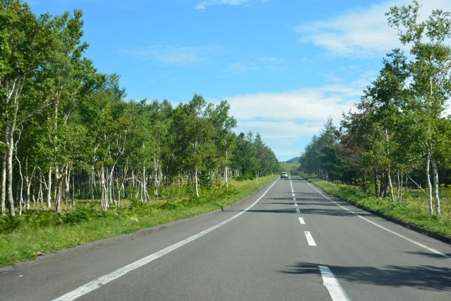 緑の自然に囲まれた北海道の舗装道路。